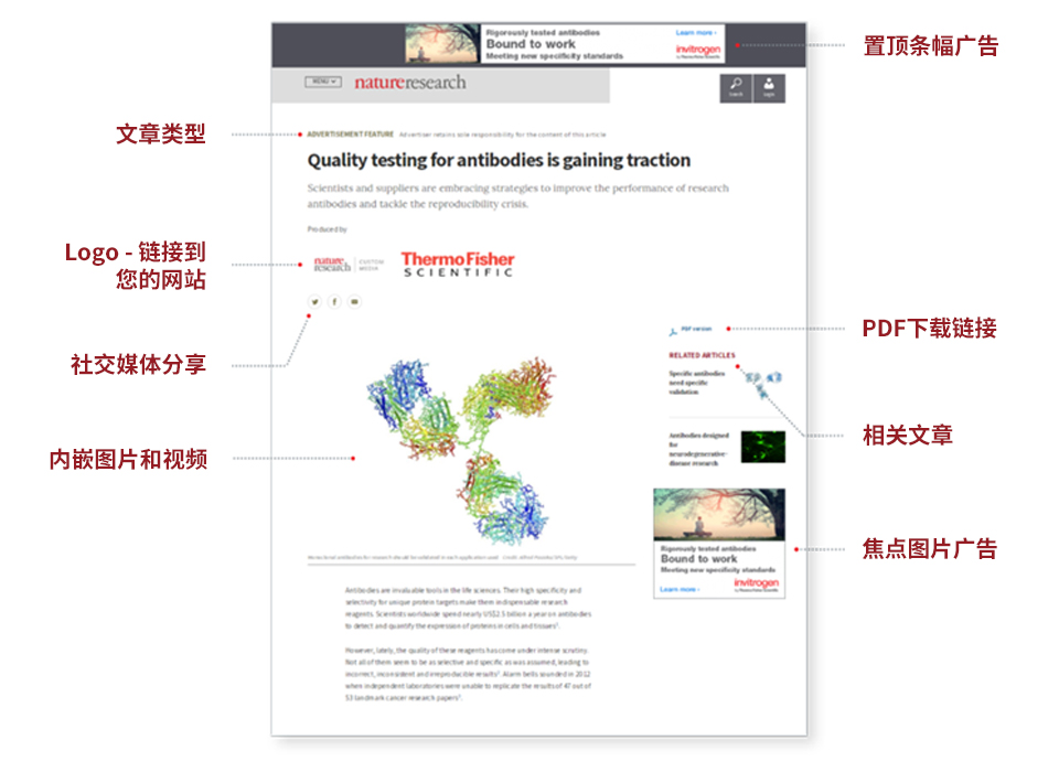 在nature.com上的专属呈现形式
