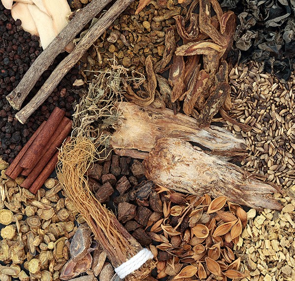 Focal Point on Traditional Chinese Medicine