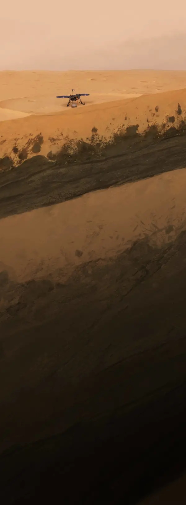 1638264563.png 147.png