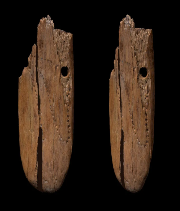 1638264773.png 148.png