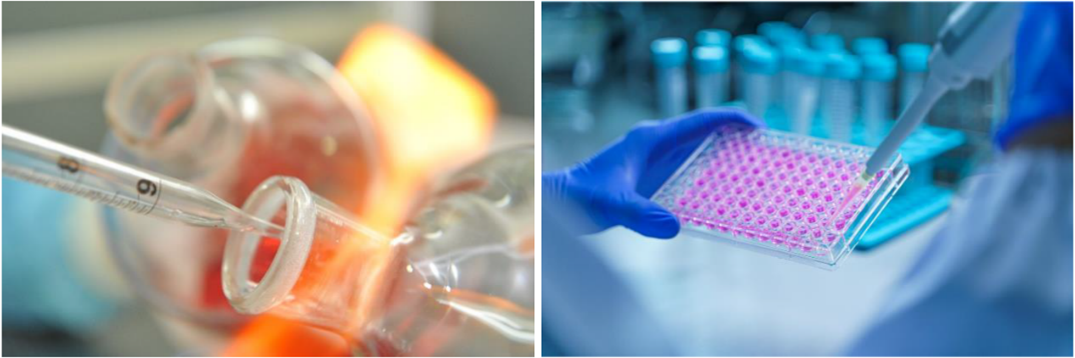 1763022582542538.png Picture3.png