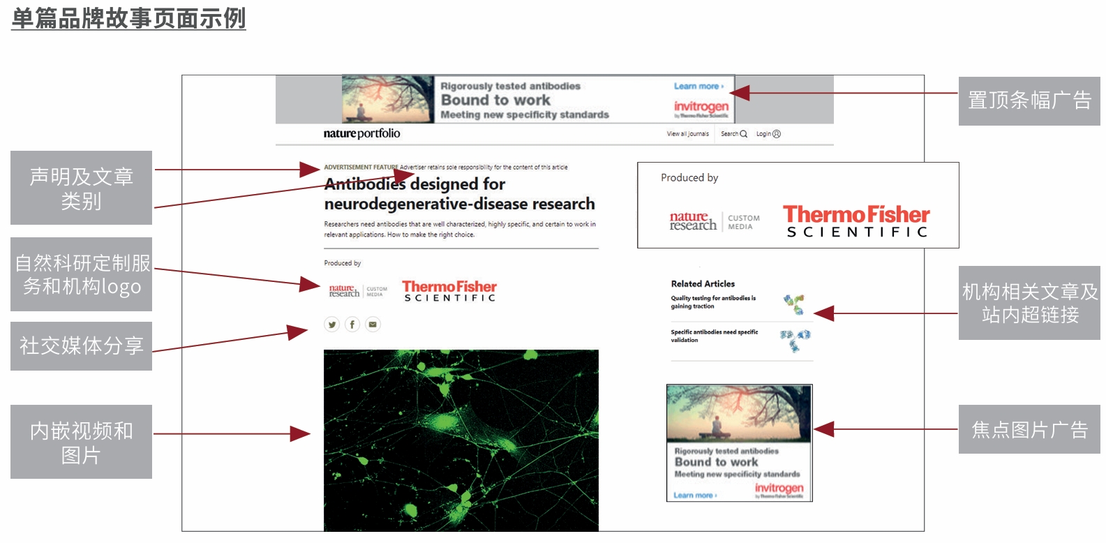 在nature.com上的专属呈现形式